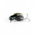 Imago Lures Wobler Mrówka Ant Little Mi 3cm Powierzchniowy