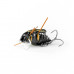 Imago Lures Przynęta Maybug 2,5F Surface Exclusive BK