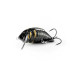 Imago Lures Przynęta Maybug 3,5F Surface BK