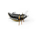 Imago Lures Przynęta Maybug 3,5F Surface Exclusive BK