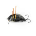 Imago Lures Przynęta Maybug 3,5F Surface Exclusive BK