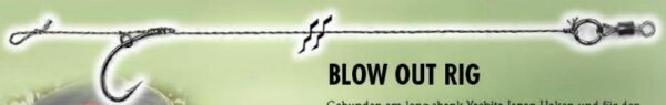 blowoutrig