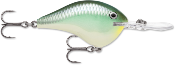 Rapala Wobler DT 16 Pływający 7cm #BBH