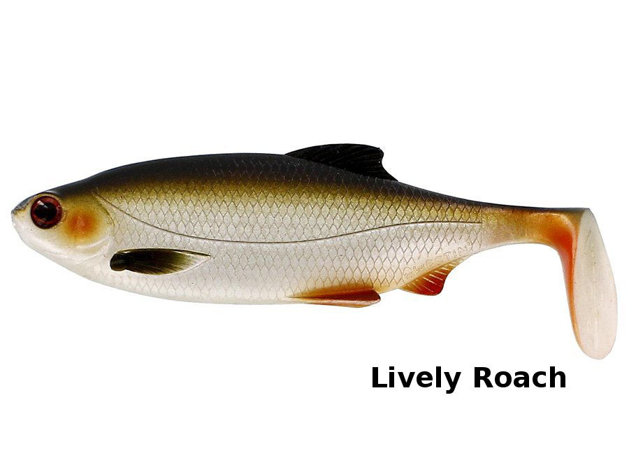 Westin_Ricky_The_Roach_ShadTail_Lively_Roach