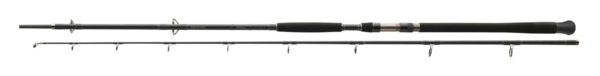 Daiwa_Wędka_Exceler_Catfish_11818-305_1