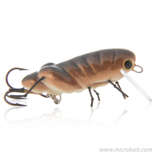 Microbait_Konik_Polny_Brązowy