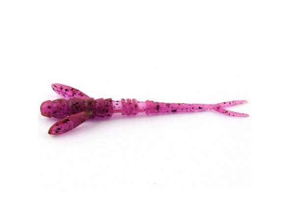 FishUp_10005104