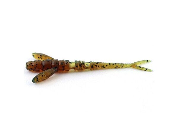 FishUp_10005106
