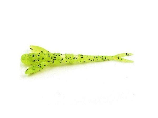 FishUp_10005119