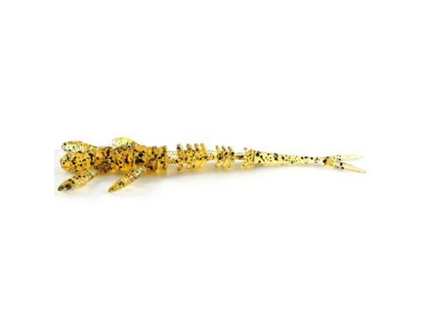 FishUp_10006108