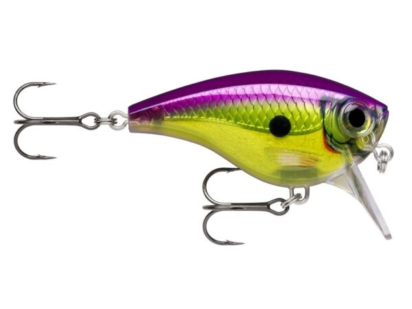 Rapala_BXBB06-ROC