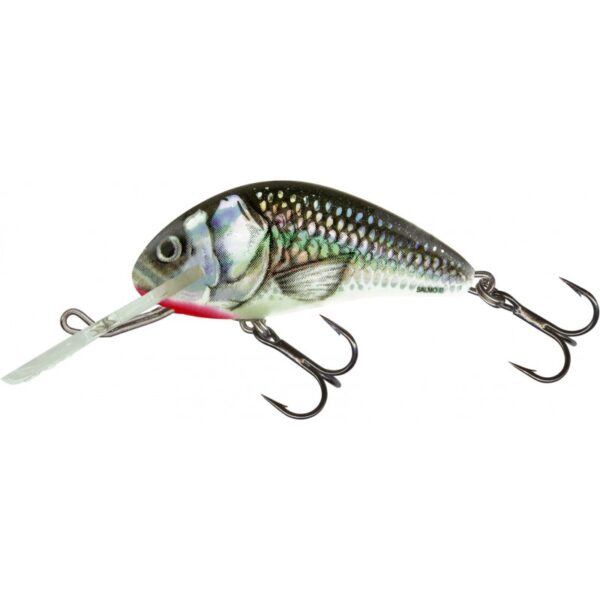 salmo-hornet-60cm-hgs-floating