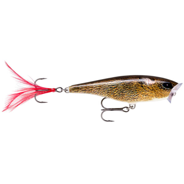 Rapala Wobler Skitter Pop Pływający 7cm Live Field Mouse