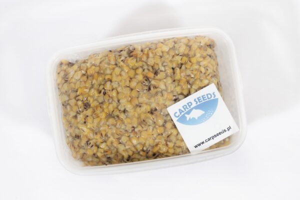 Carp Seed Ziarno do Nęcenia Kukurydza Naturalna 4kg