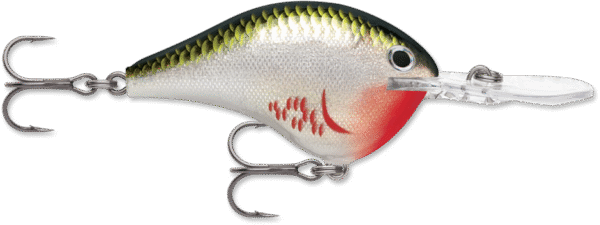 Rapala Wobler DT 16 Pływający 7cm #BOS