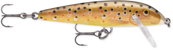 Rapala Wobler Countdown Tonący 9cm #TR