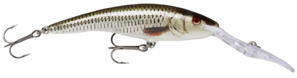 Rapala Wobler Deep Tail Dancer Pływający 11cm #ROL