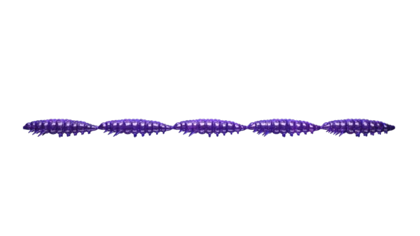 Libra Lures Guma Larva Multi 25 2,5cm 5x5 #020 Purple with Glitter / Krill